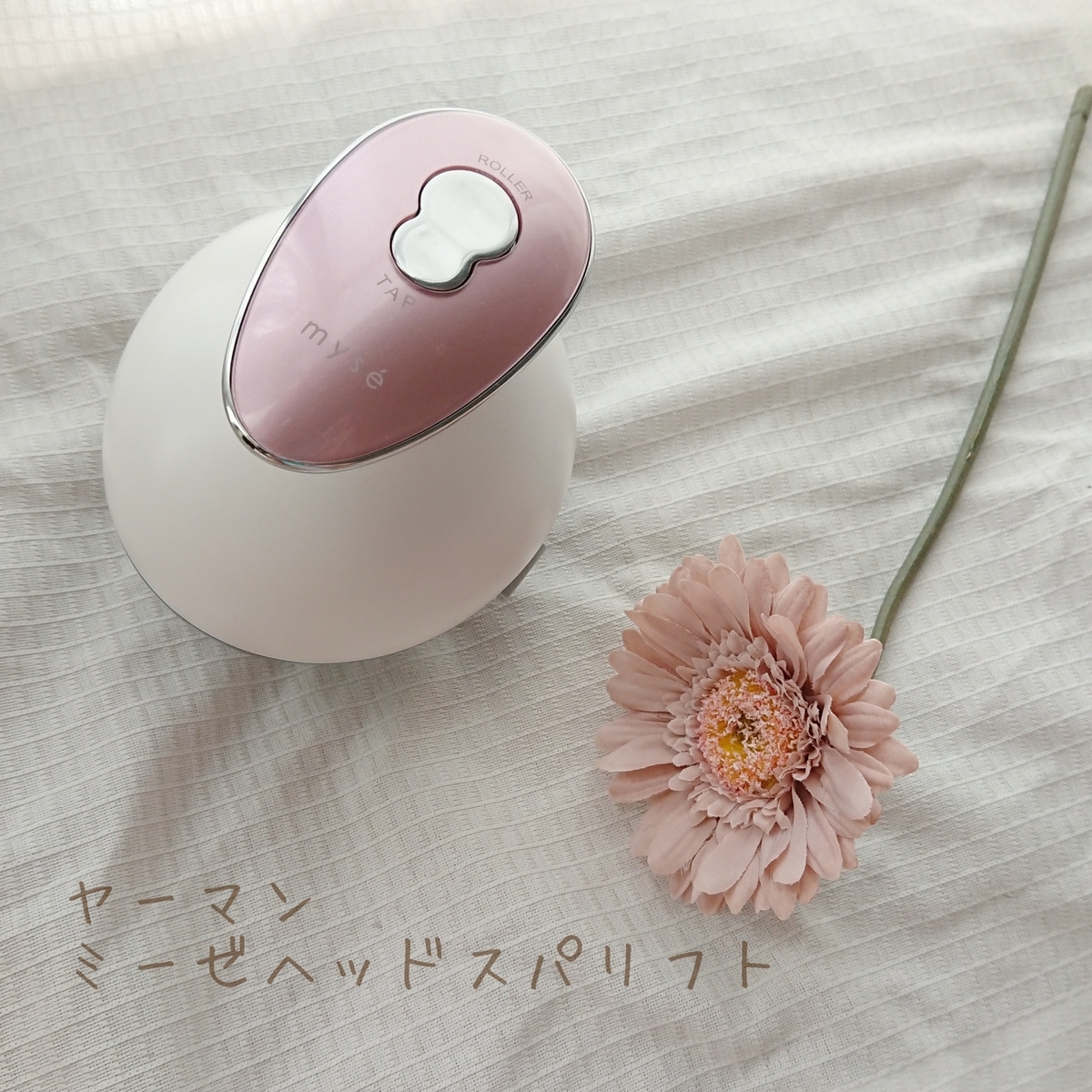 f:id:mocomchan:20200711134858j:plain f:id:mocomchan:20200711134858j:plain