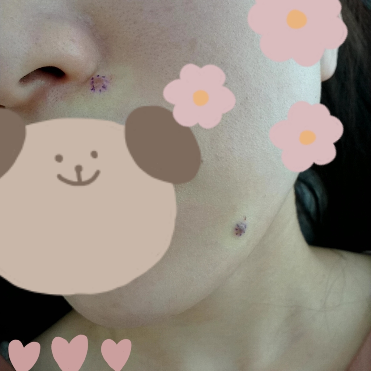 f:id:mocomchan:20210407154255j:plain