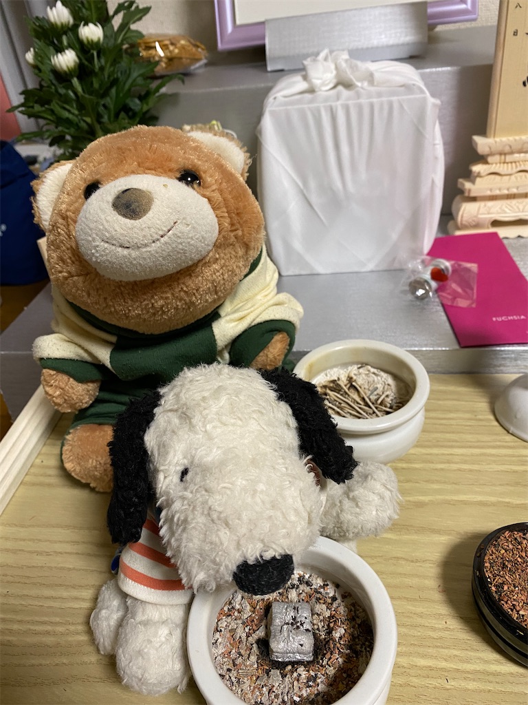 f:id:mocomocobear7:20200620003228j:plain f:id:mocomocobear7:20200620003228j:plain