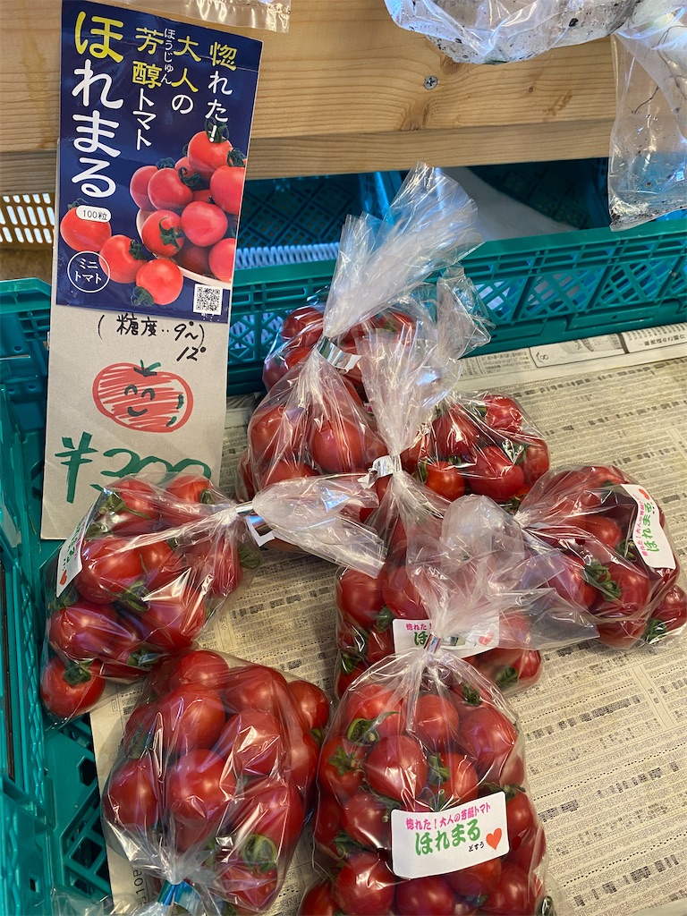 f:id:mocomocobear7:20200831192030j:plain