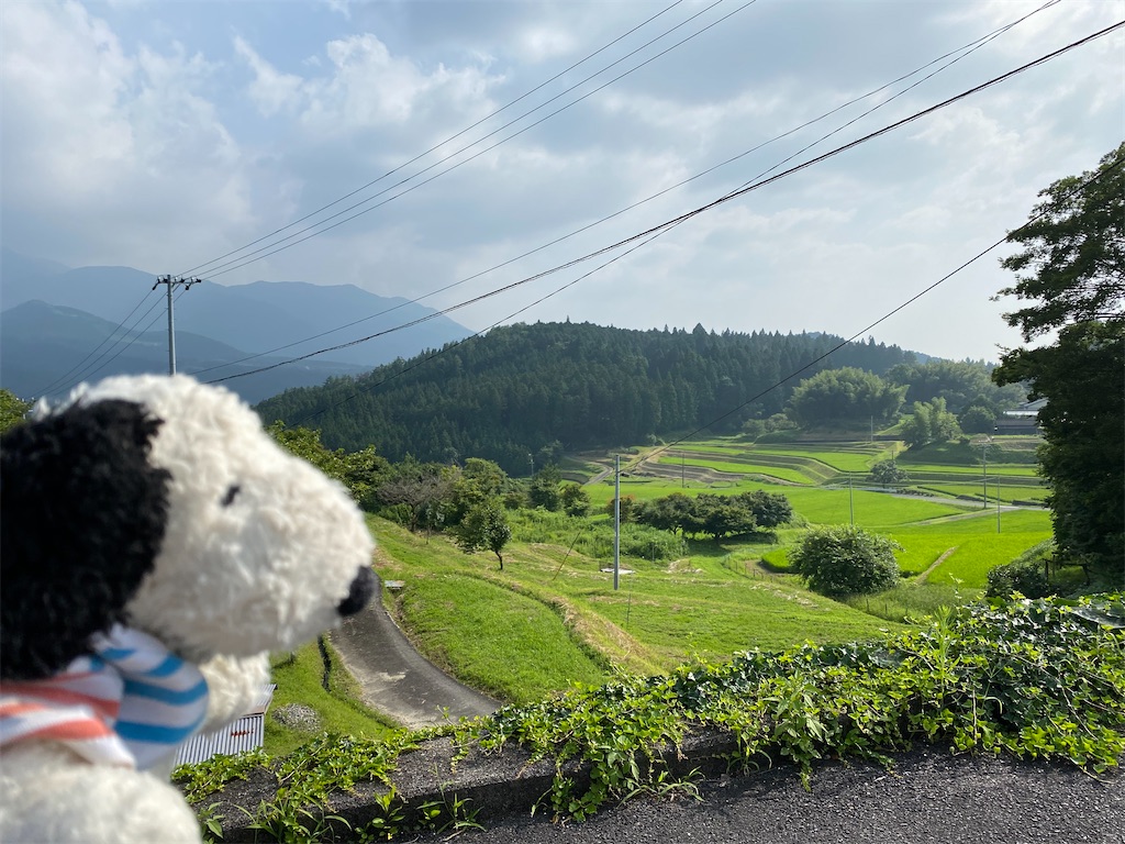 f:id:mocomocobear7:20200831192110j:plain f:id:mocomocobear7:20200831192110j:plain