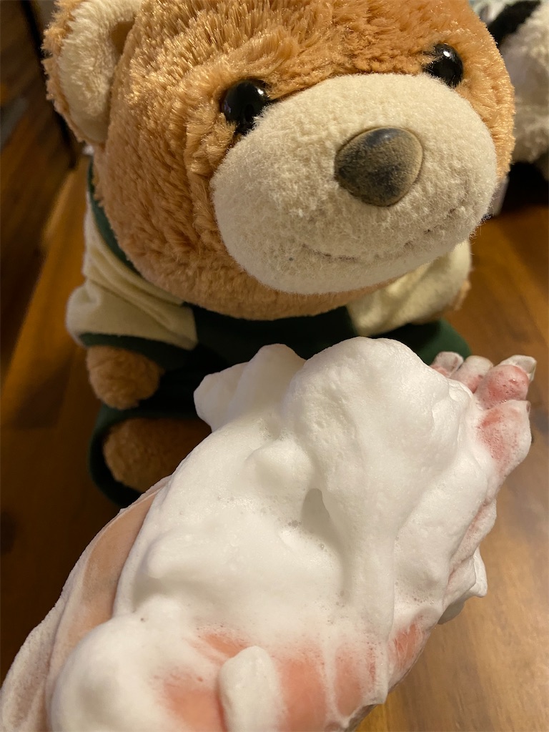 f:id:mocomocobear7:20201006215508j:plain