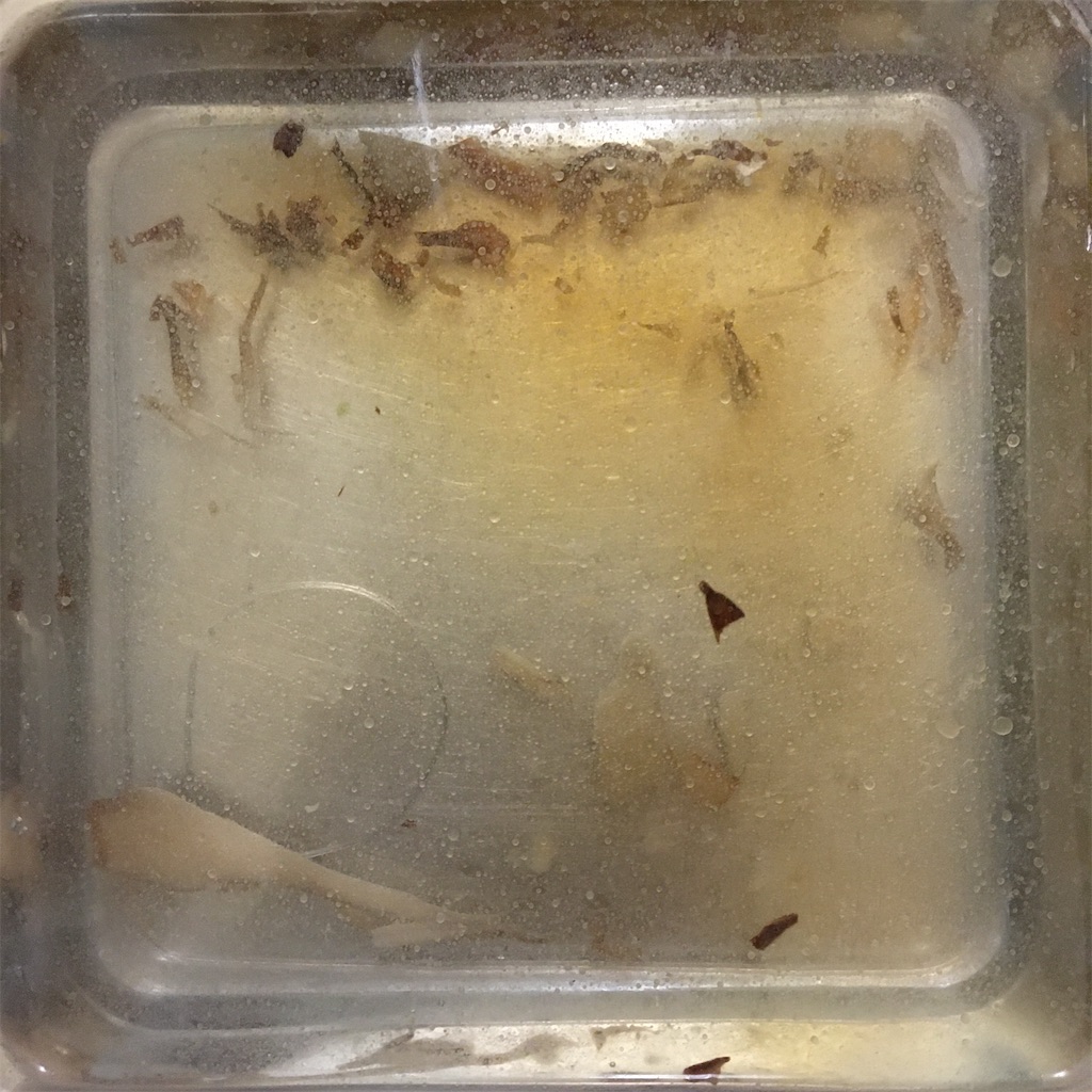 f:id:mocomocomoco1:20210921114335j:image