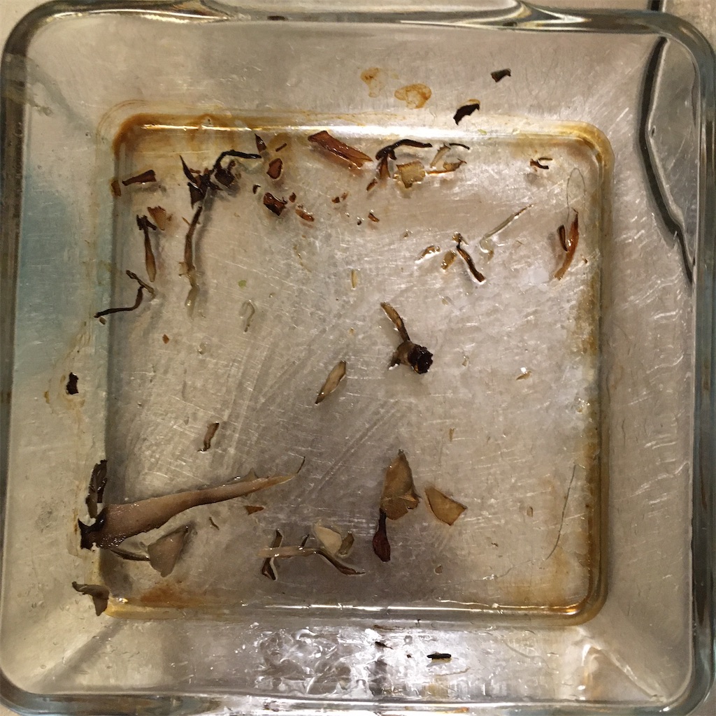 f:id:mocomocomoco1:20210921114338j:image