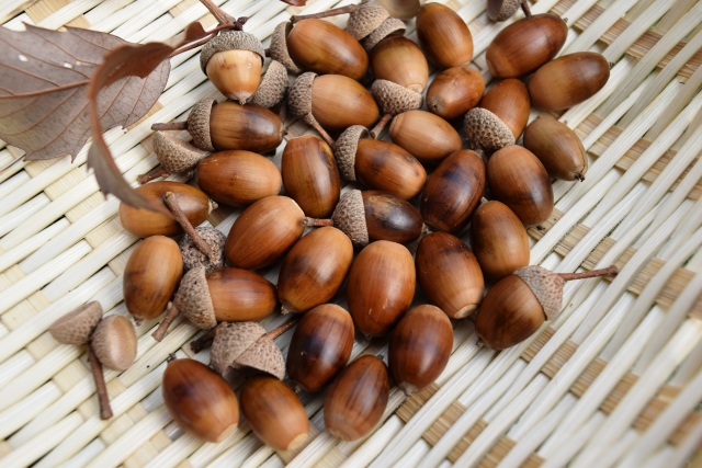 f:id:mocomocomoco1:20211121173756j:plain