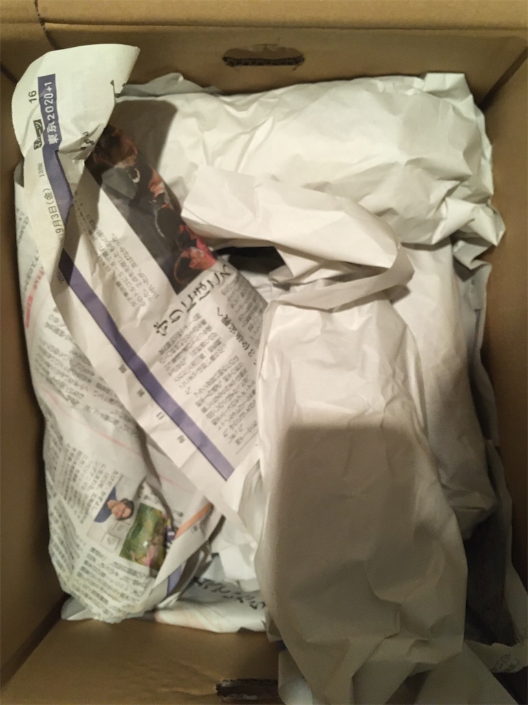 f:id:mocomocomoco1:20220115174154j:plain