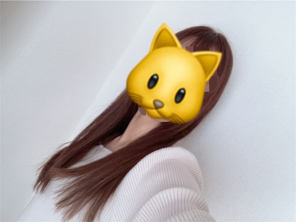 f:id:mocomocomoco1:20221107105229j:image