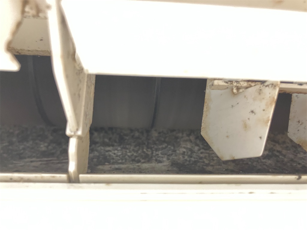 f:id:mocomocomoco1:20230629172531j:image f:id:mocomocomoco1:20230629172531j:image