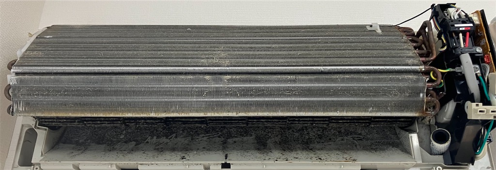 f:id:mocomocomoco1:20230629172534j:image f:id:mocomocomoco1:20230629172534j:image