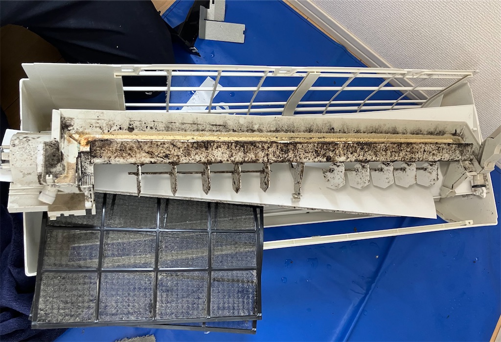 f:id:mocomocomoco1:20230629172540j:image f:id:mocomocomoco1:20230629172540j:image