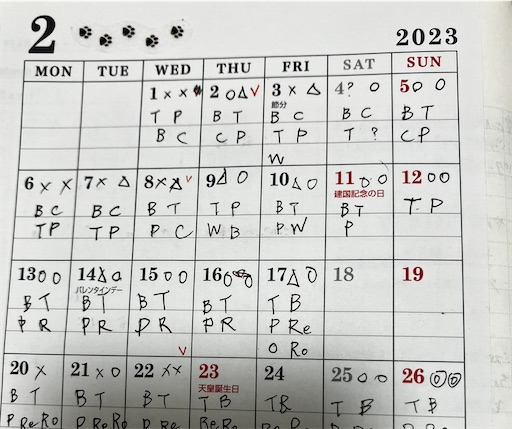 f:id:mocomocomoco1:20231115171528j:image f:id:mocomocomoco1:20231115171528j:image