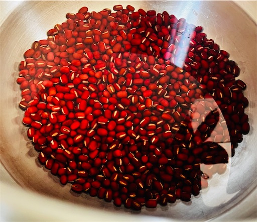 f:id:mocomocomoco1:20240302090647j:image f:id:mocomocomoco1:20240302090647j:image