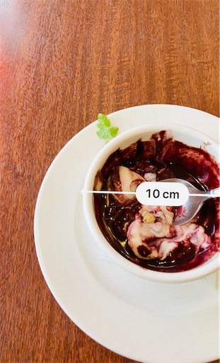 f:id:mocomocomoco1:20240425165445j:image