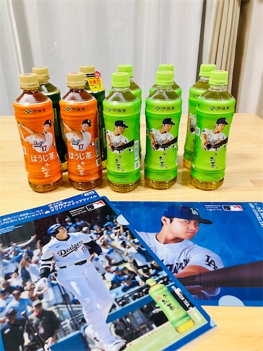 大谷翔平 クリアファイル 扇子 WBC 日本代表 優勝記念 大谷翔平 2023年版 東京 クリアファイル