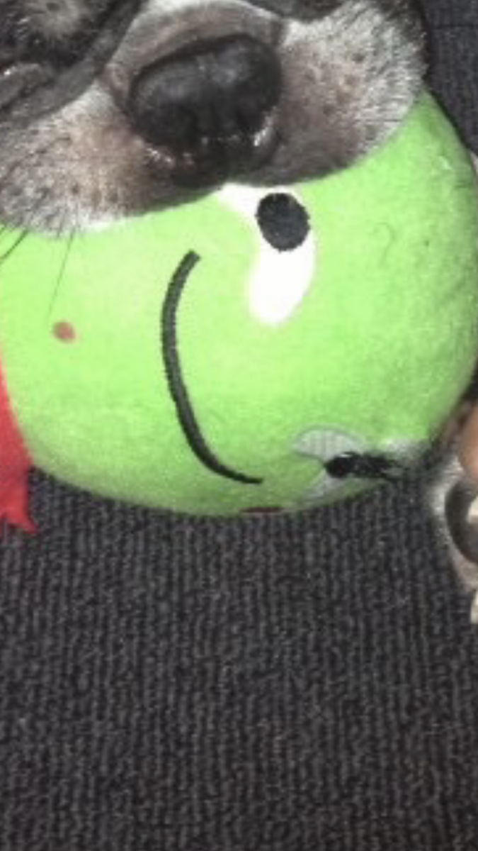 f:id:mocomocomocokun:20190527164352p:plain