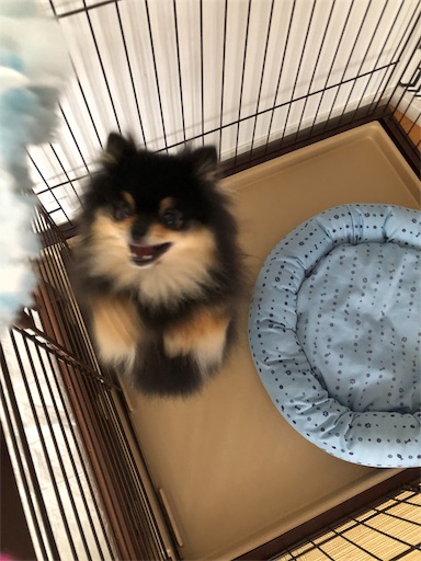 f:id:mocopome:20180906095156j:image