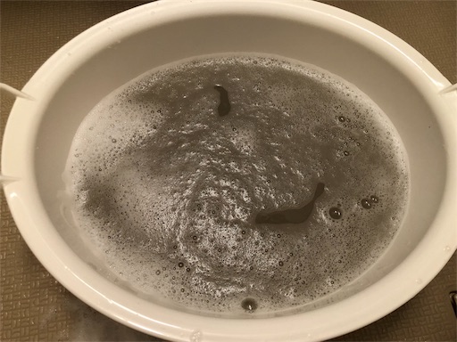 f:id:mocopome:20180922163117j:image