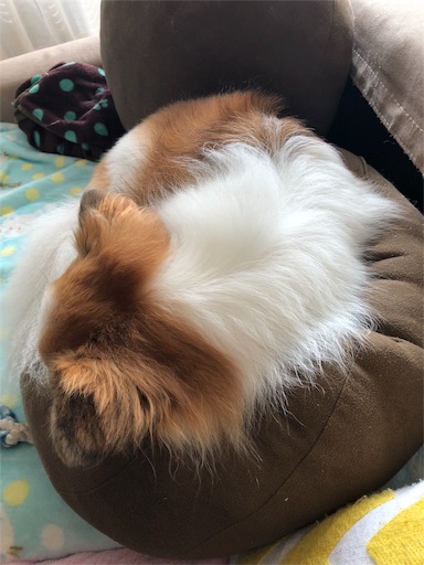 f:id:mocopome:20180923151513j:image f:id:mocopome:20180923151513j:image