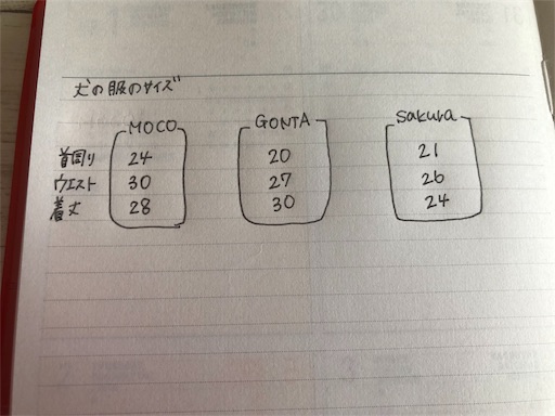 f:id:mocopome:20180923152822j:image f:id:mocopome:20180923152822j:image