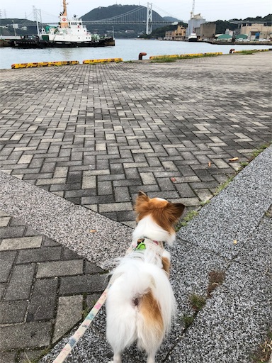 f:id:mocopome:20180924215859j:image f:id:mocopome:20180924215859j:image
