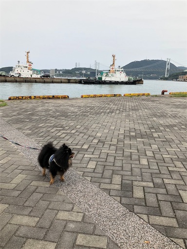 f:id:mocopome:20180924215902j:image f:id:mocopome:20180924215902j:image