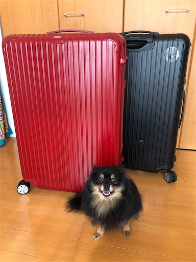 f:id:mocopome:20180926101229j:image