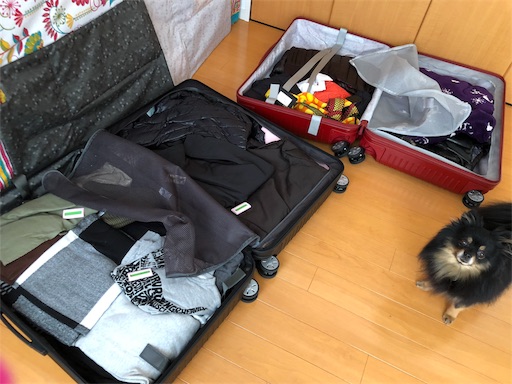 f:id:mocopome:20180926101249j:image