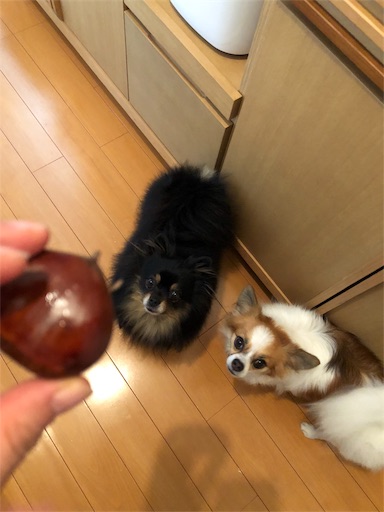 f:id:mocopome:20181004225619j:image f:id:mocopome:20181004225619j:image