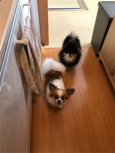 f:id:mocopome:20181004225622j:image f:id:mocopome:20181004225622j:image