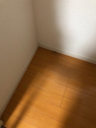 f:id:mocopome:20181029160740j:image f:id:mocopome:20181029160740j:image