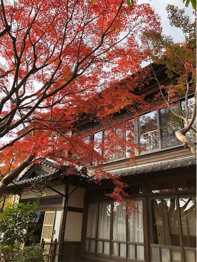 f:id:mocopome:20181125200216j:image f:id:mocopome:20181125200216j:image