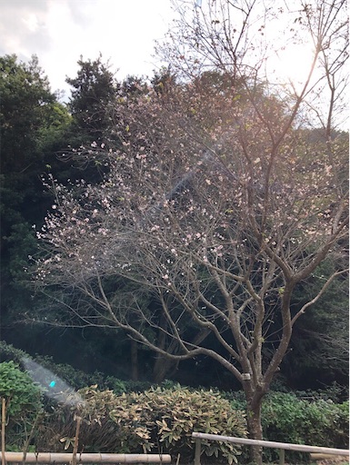 f:id:mocopome:20181125202455j:image f:id:mocopome:20181125202455j:image
