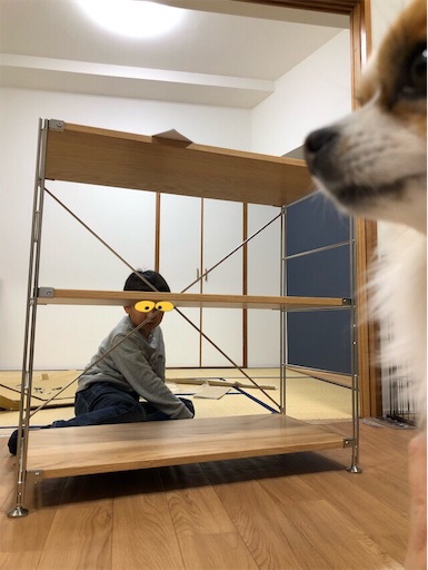 f:id:mocopome:20181213175523j:image f:id:mocopome:20181213175523j:image