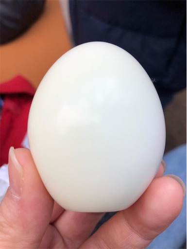 f:id:mocopome:20190102193746j:image f:id:mocopome:20190102193746j:image