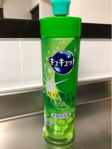 f:id:mocopome:20190127204710j:image
