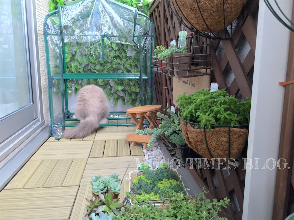 f:id:mocotimes:20161005182158j:image