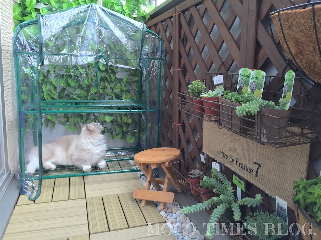 f:id:mocotimes:20161005182209j:image