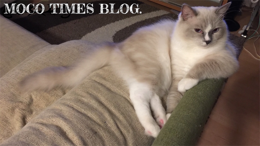 f:id:mocotimes:20161021204735j:image