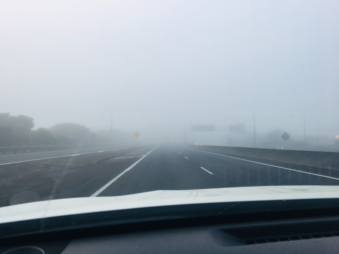 f:id:mocoyoneyone:20190514133047j:plain f:id:mocoyoneyone:20190514133047j:plain
