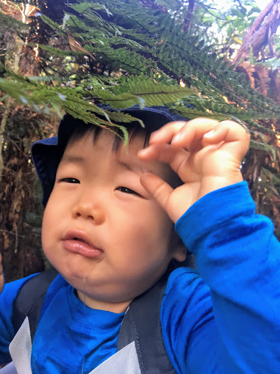 f:id:mocoyoneyone:20190514141632j:plain f:id:mocoyoneyone:20190514141632j:plain