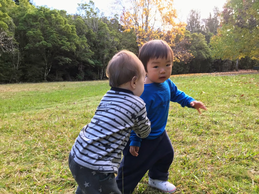 f:id:mocoyoneyone:20190514190831j:plain f:id:mocoyoneyone:20190514190831j:plain