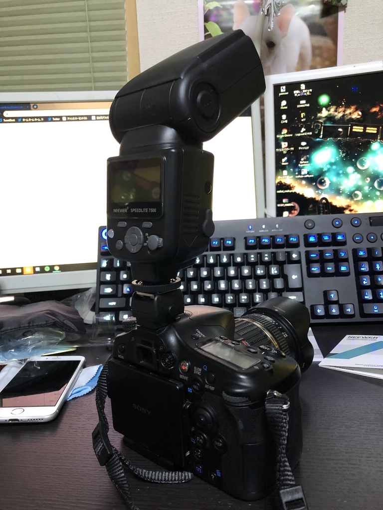 f:id:mocros_alpha:20181210205945j:plain f:id:mocros_alpha:20181210205945j:plain