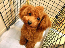 f:id:modeee:20110516142207j:image f:id:modeee:20110516142207j:image