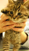 f:id:modeee:20110607155246j:image f:id:modeee:20110607155246j:image