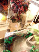 f:id:modeee:20121013123636j:image