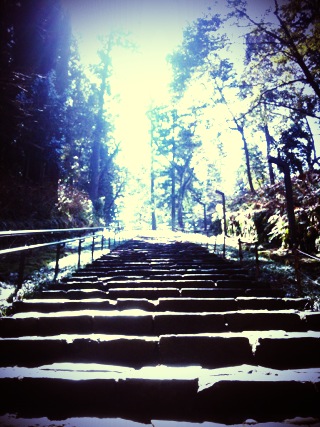 f:id:modestplan:20120312223317j:image
