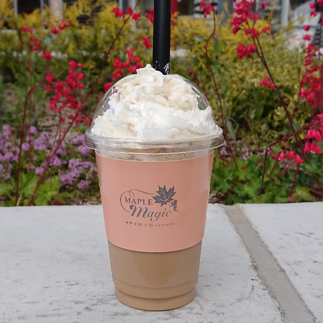 f:id:modokimaru:20200421065553j:image