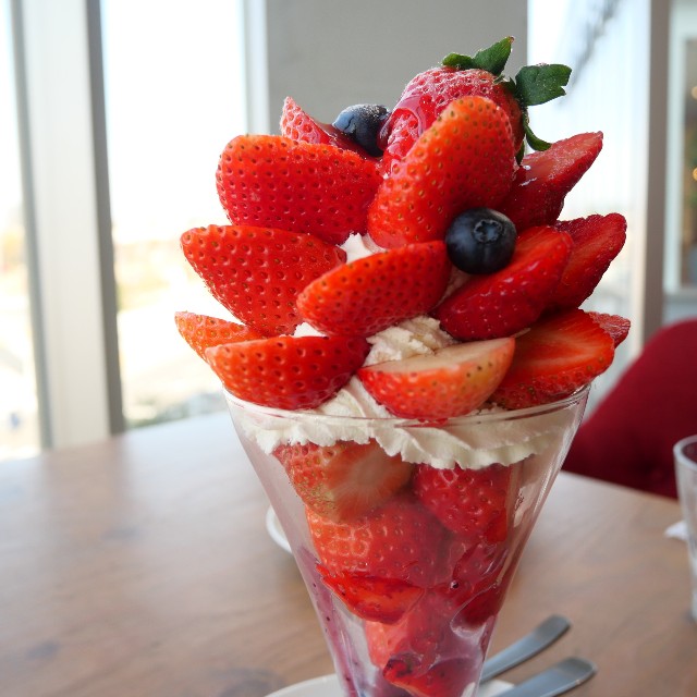 f:id:modokimaru:20210126065241j:image