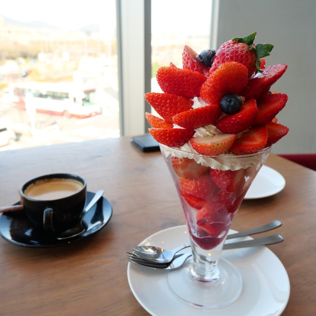 f:id:modokimaru:20210126065251j:image