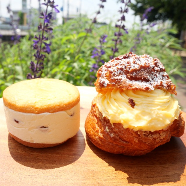 f:id:modokimaru:20210623213942j:image